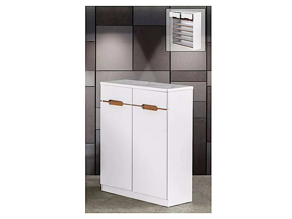 Diona 2 Door Shoe Cabinet (DA3336)